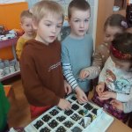 phoca_thumb_m_zajci set skupinovka 44 Fotogalerie